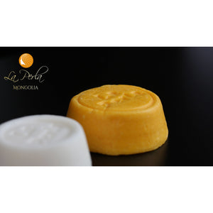 Seaberry Solid Shampoo and Conditioner Bar Set